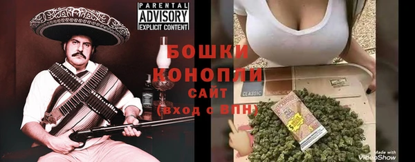 гидра Алексеевка